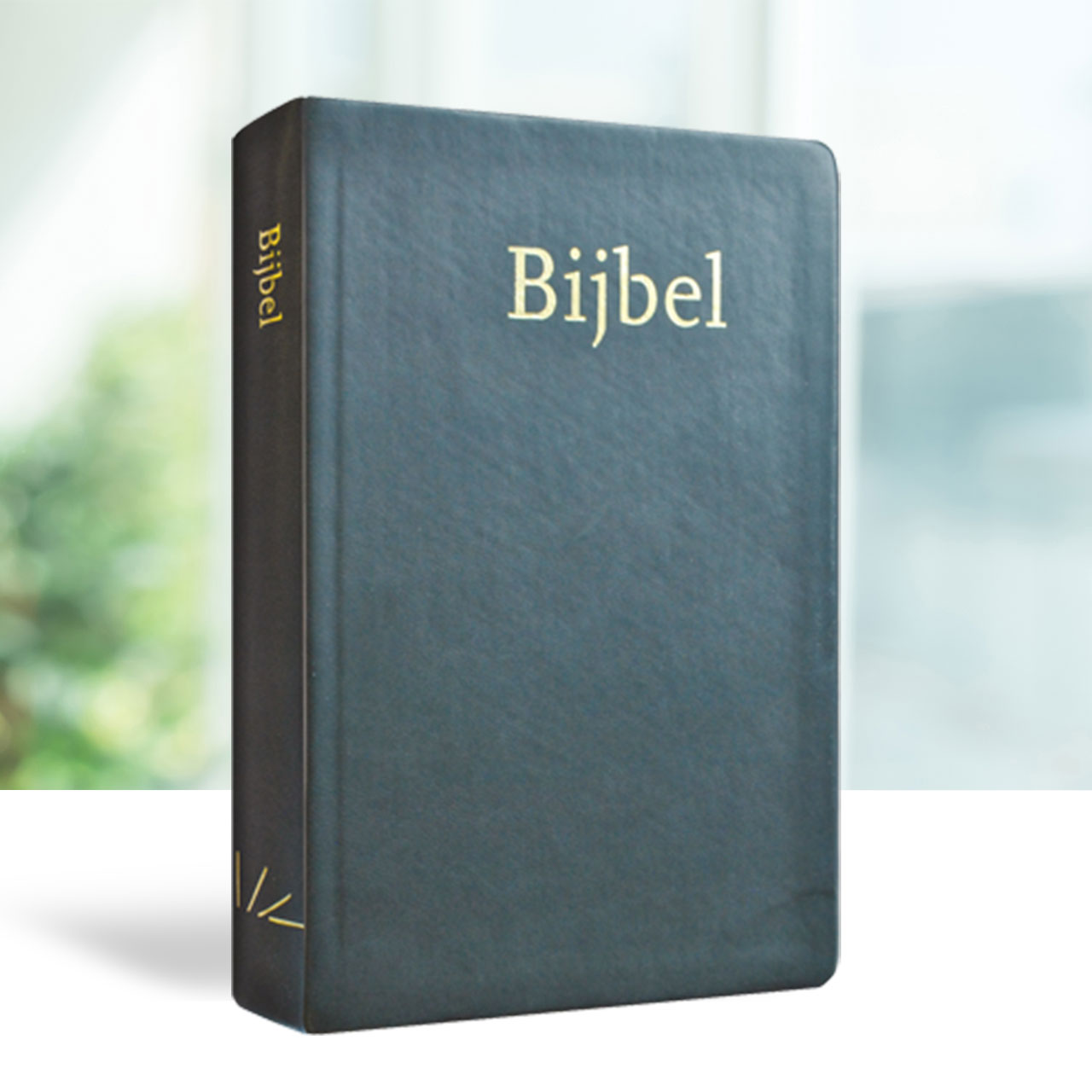 Bijbel NBG51 Zwart